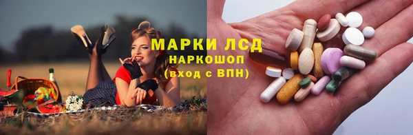 СК Алзамай