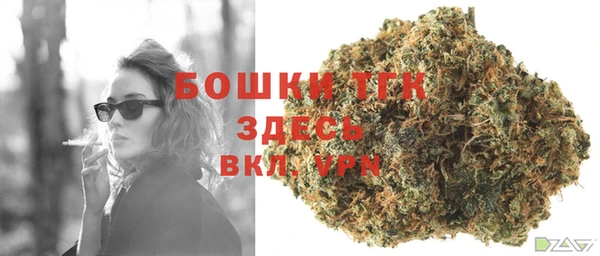 гидра Алексеевка
