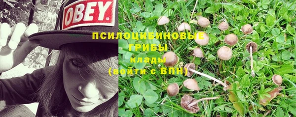гидра Алексеевка